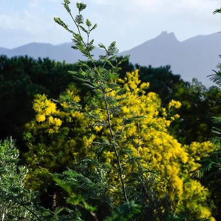 ラグジュアリーテント Glamping Fonte Murata