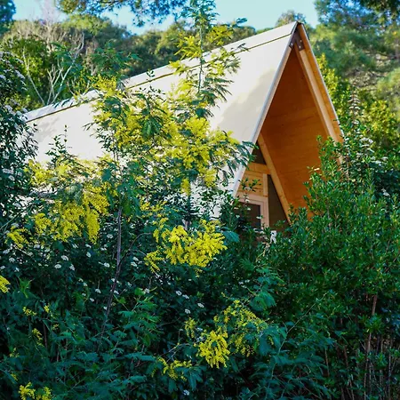 Glamping Fonte Murata ラグジュアリーテント ポルトフェッラーイオ