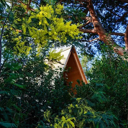 ラグジュアリーテント Glamping Fonte Murata ポルトフェッラーイオ